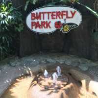 Spot beautiful butterflies at Butterfly Park