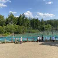 【北海道】どこを撮っても絵になる美しい池