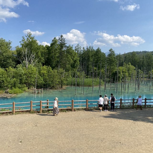 【北海道】どこを撮っても絵になる美しい池