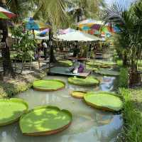 ร้านO2 kaffee & bistro