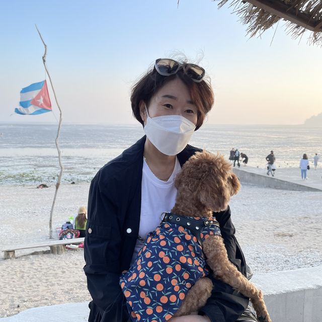 반려동물도 함께 온 가족이 떠난 영흥도 여행