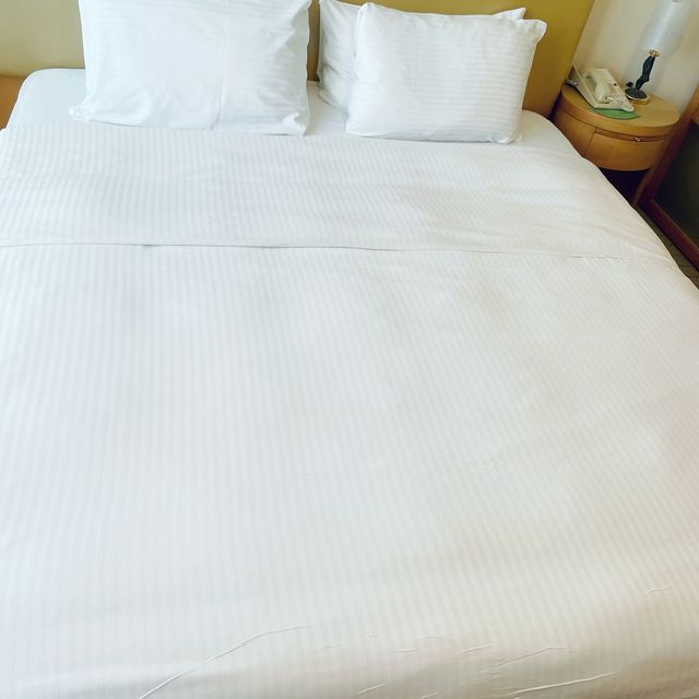 天水圍嘉湖海逸酒店特大空間