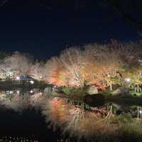 日本一イルミネーション 三重県桑名市 なばなの里