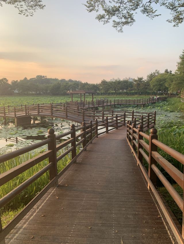 경남 진주 최고의 연못공원💚 강주연못 💚