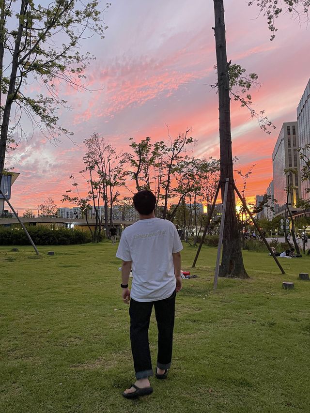 서울 속의 숲, 서울식물원 호수공원