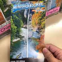 日本🇯🇵大自然之美‼️龍王峽