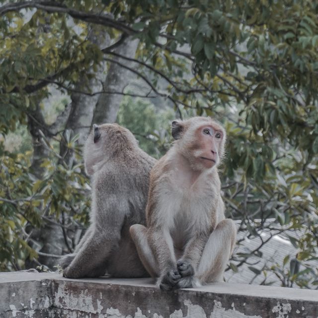 นมัสการพระพุทธฉาย