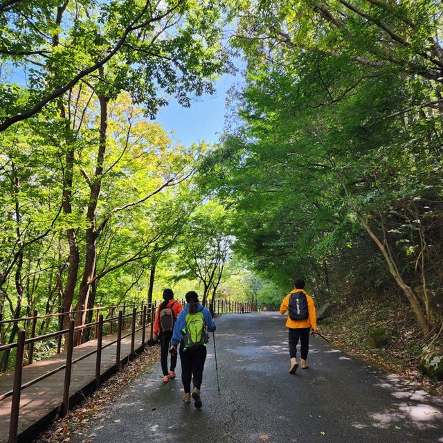 지리산 국립공원 단풍놀이🍁🍂