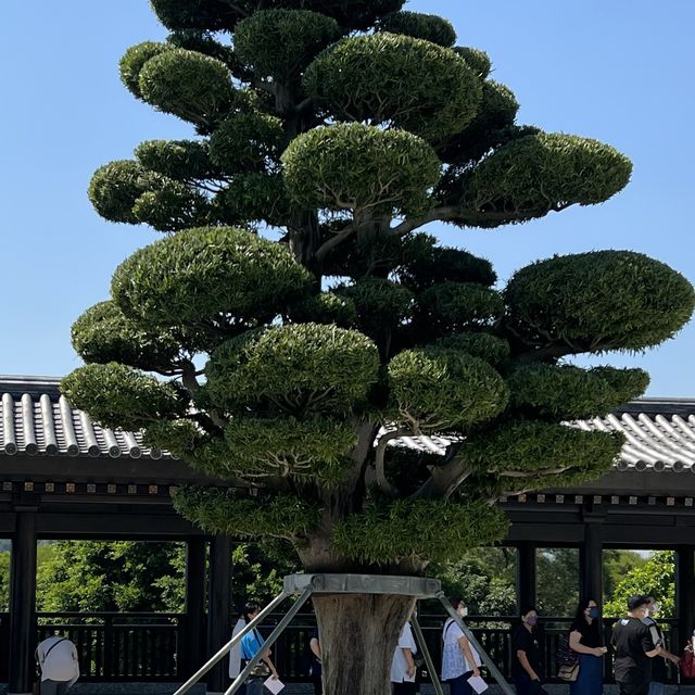 洗滌心靈之旅-［慈山寺觀音誕］