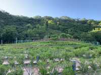 Recommended place to go for picnic before winter comes