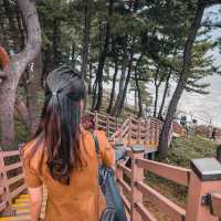 속초 롯데리조트 산책로 '외옹치항 둘레길'