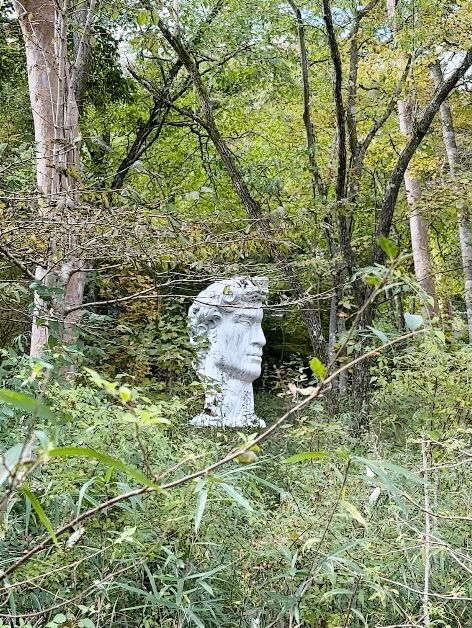 箱根＊ポーラ美術館　森の遊歩道