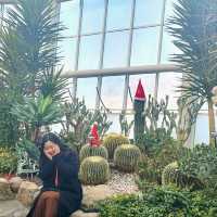 열대식물원에서 겨울에도 푸릇푸릇🌴