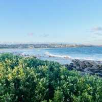 Malabar Headland Walk - a great Sydney coasta