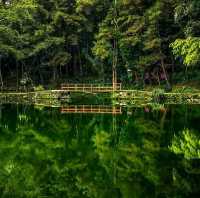 REMIS LAKE, WEST JAVA