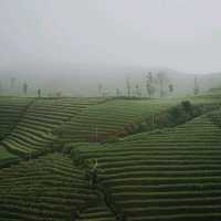 Majalengka, Indonesia
