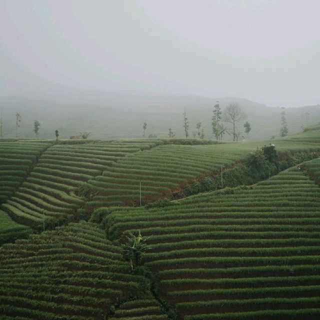 Majalengka, Indonesia