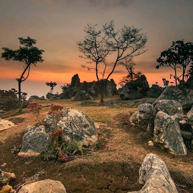 STONE GARDEN GEOPARK CITATAH