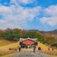 서오릉 산책 한 바퀴