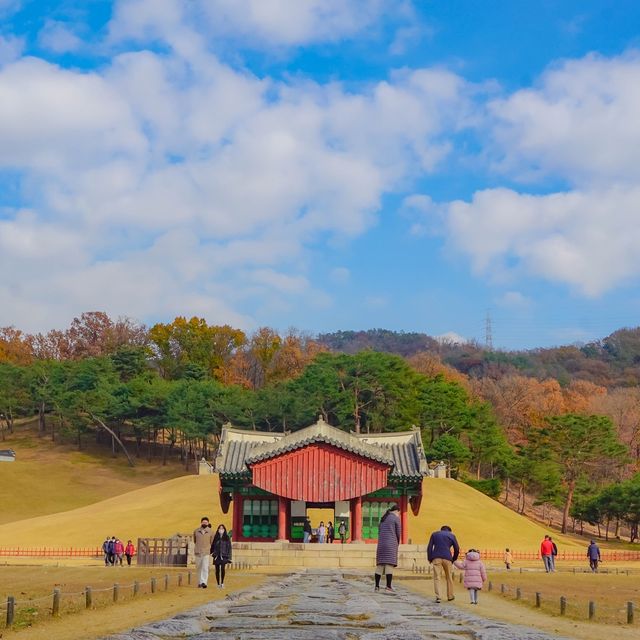 서오릉 산책 한 바퀴