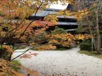 京都[紅葉めぐり] 南禅寺　天授庵- 枯山水庭園にて和む -