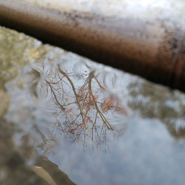 【伊豆長岡】割烹旅館 　新叶