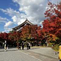 【京都】永観堂の美しい紅葉🍁