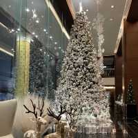 Season is Greeting 🎄🎁💕 white Christmas 🎄 
