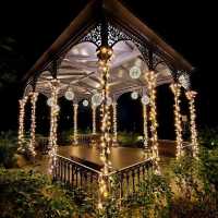 Christmas Light at Botanical Garden