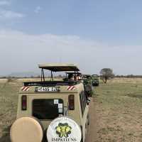 anotha safari at Serengeti