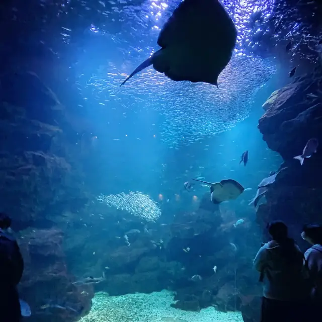 内陸の水族館