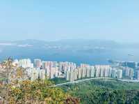 吊手岩
