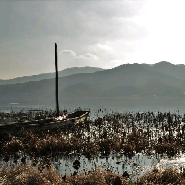 운치 있는 강변 산책길, 양평 두물머리!