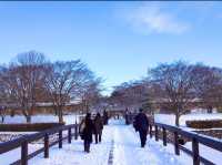 北海道　冬の道南観光！オススメ観光スポット　函館五稜郭タワー〜五稜郭公園