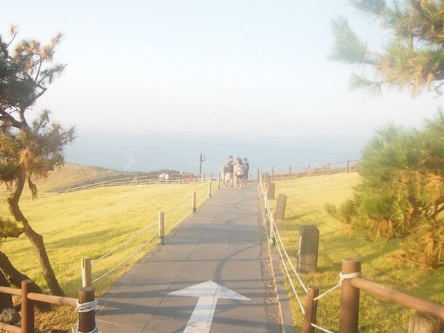 世界自然文化遺產｜日出城山峰⛰️