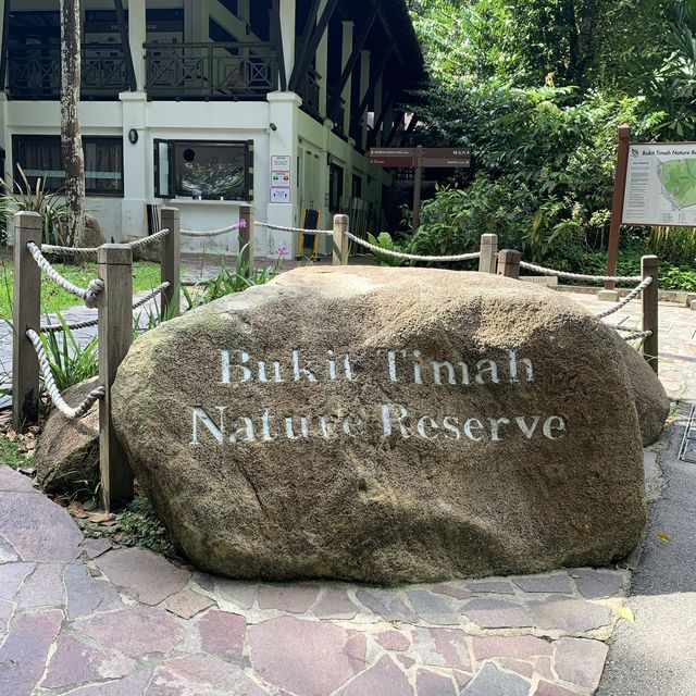 Nature hiking trail to Bukit Timah Hill