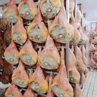 意大利 San Daniele del Friuli 🔶 聖丹尼爾火腿節