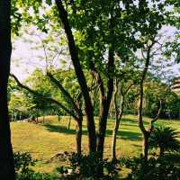［賞花觀鳥野餐聖地］元朗公園+百鳥塔