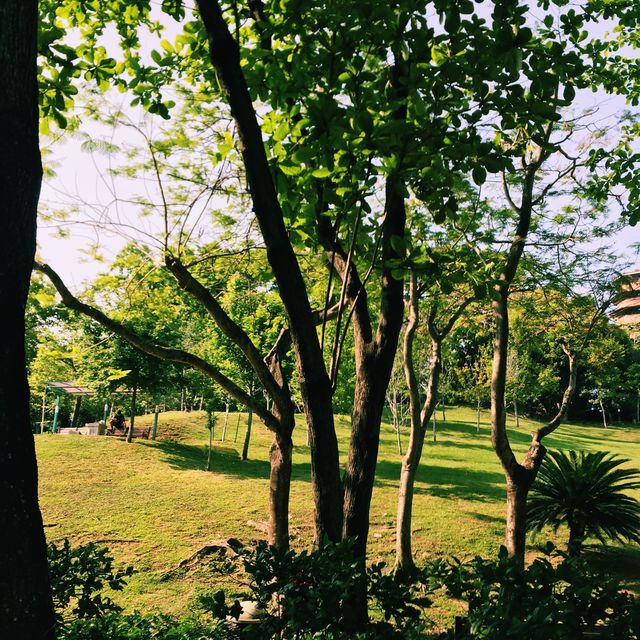［賞花觀鳥野餐聖地］元朗公園+百鳥塔