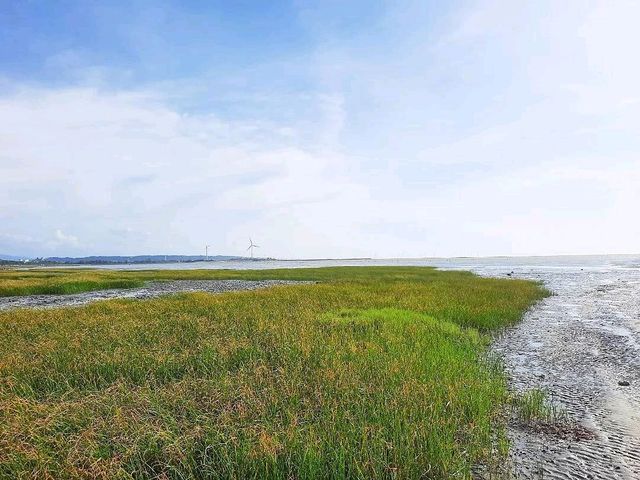 ［新竹］香山步道