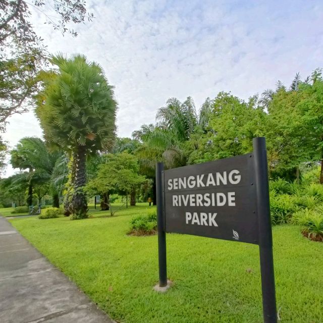 Exploring Sengkang Riverside Park 