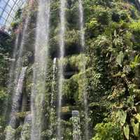 Gardens by the bay