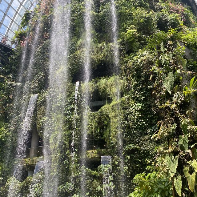 Gardens by the bay