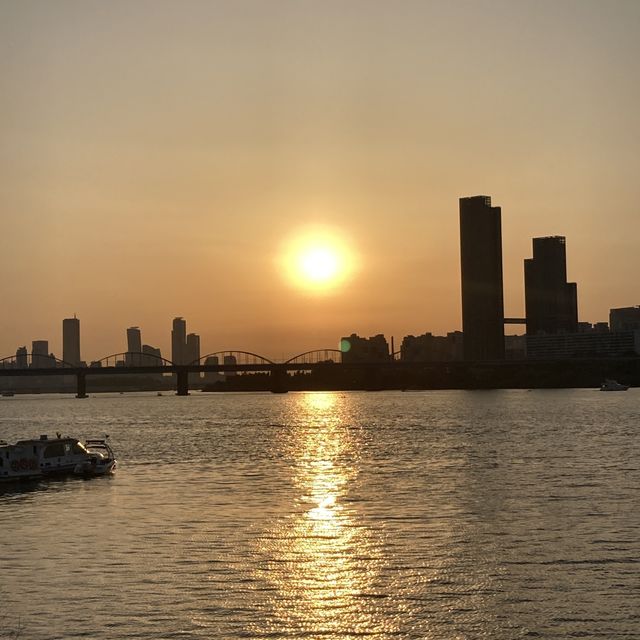 한강 피크닉_반포한강공원