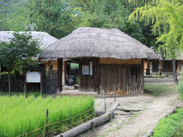 용인 한국민속촌 공연과 체험 즐길거리 많아