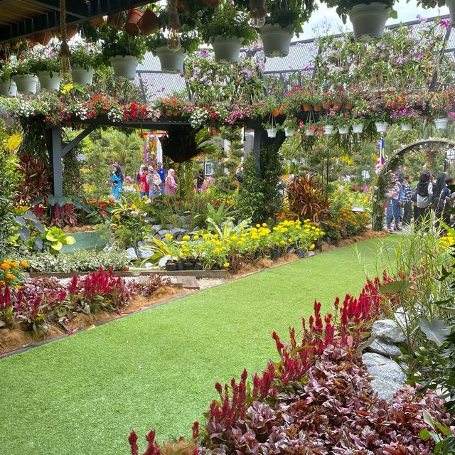 flower festival  flower festival