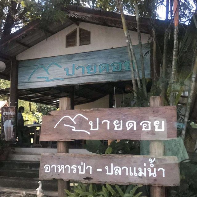 ร้านปายดอย​เมนูอาหารป่าและเมนูปลามากมาย