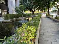 信義噴泉園區 台北市路上居然有這樣的噴泉花園