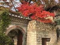 シャッターを押せば全てが美しく写る吉祥寺
