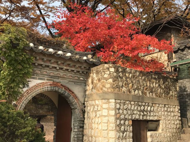 シャッターを押せば全てが美しく写る吉祥寺